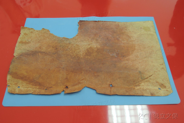 纤维素降解的古籍书叶-素材来自锐立文保项目