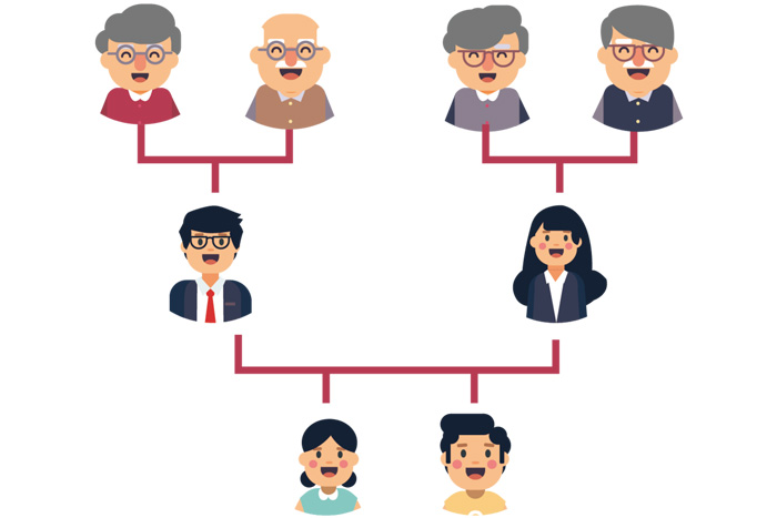 家谱维系家族成员之间联系