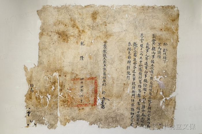 素材拍摄于新疆维吾尔自治区博物馆-非原文配图